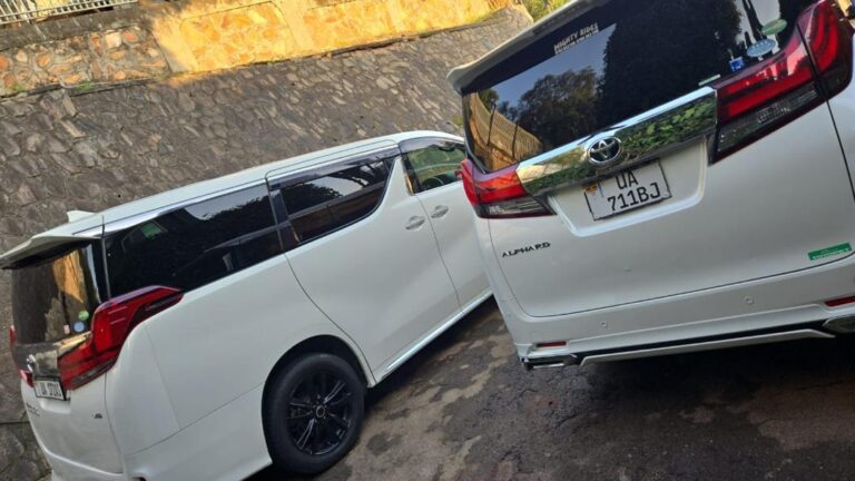 WhatsApp Image 2025-12-27 at 1.58.21 PM (1)